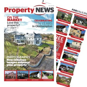 Property News Paper